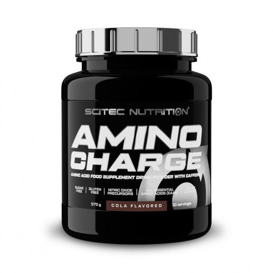 AMINO CHARGE (570G)