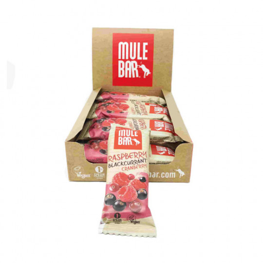Barres énergétiques Vegan (15x40g)