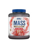 Critical mass professional (2.4kg)