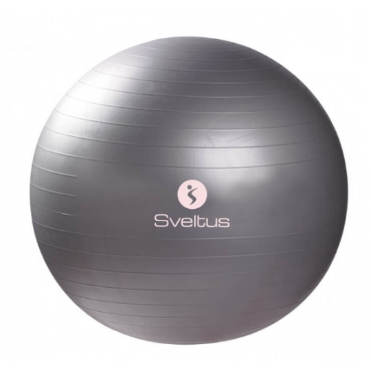 Gymball gris (65cm)