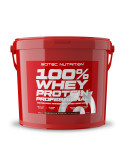 100% WHEY PROFESSIONAL (5kg)